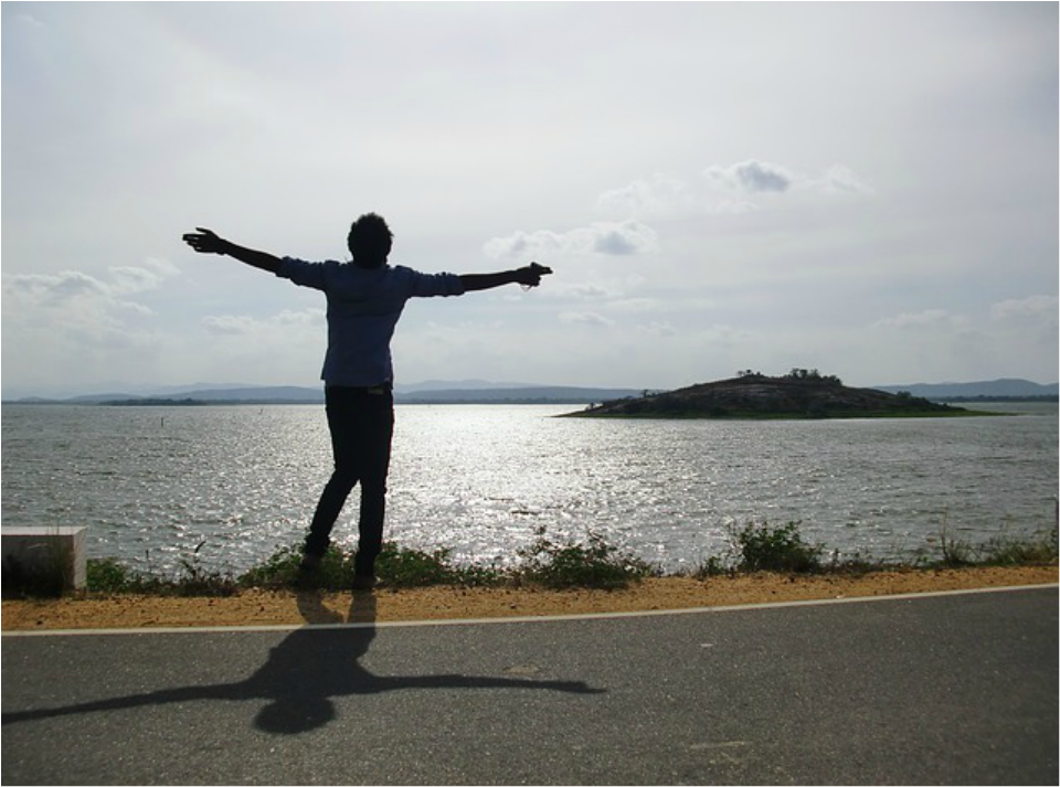 Picture